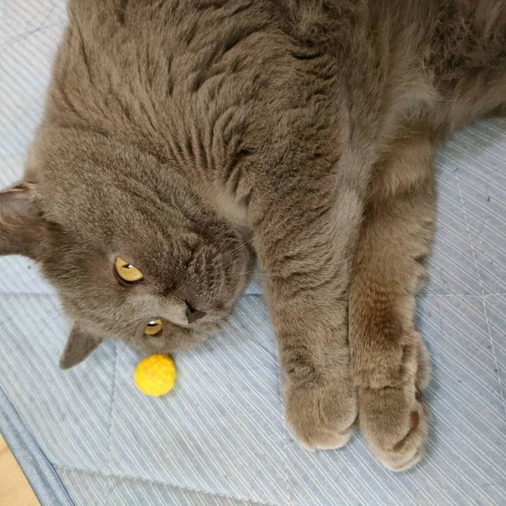 F8660798 3b2f 41a7 b7ef b72bf054e980 1652648800477