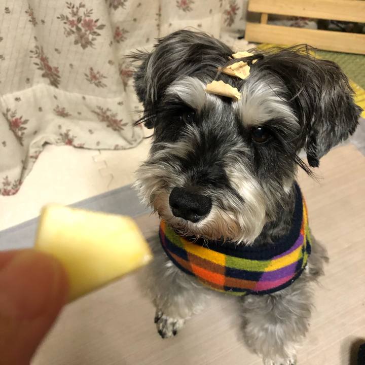 F8660daa 65b5 4c47 bd6c 7b928a174d61 1643201447046