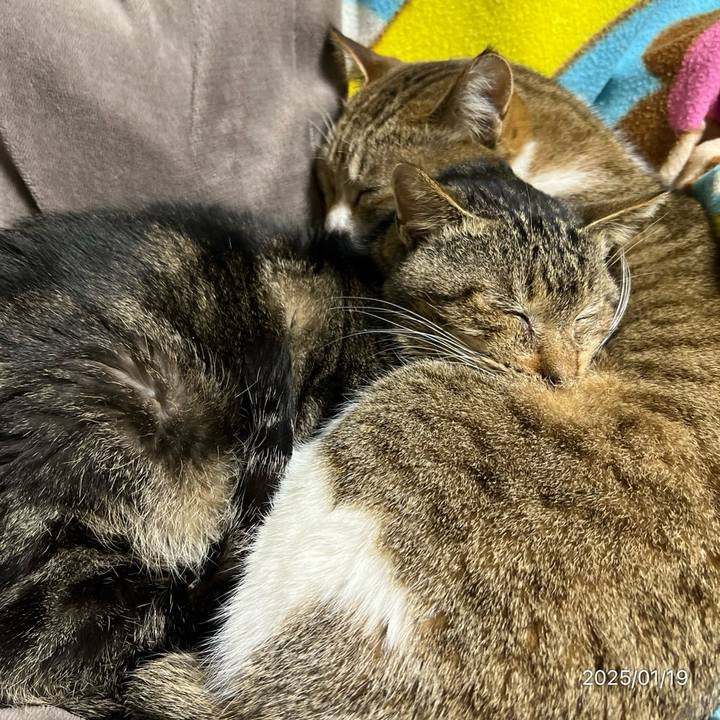 F8662d46 8913 48bf a754 db96c55d02ff 1737325569881