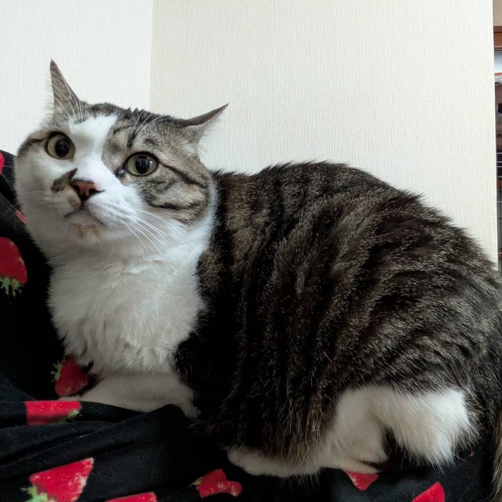 F86647f0 94bc 41a1 bf78 85334b458c73 1740642969709