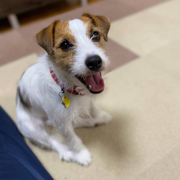 F8665947 19be 4dc3 ba15 1614f745651e 1655388315918