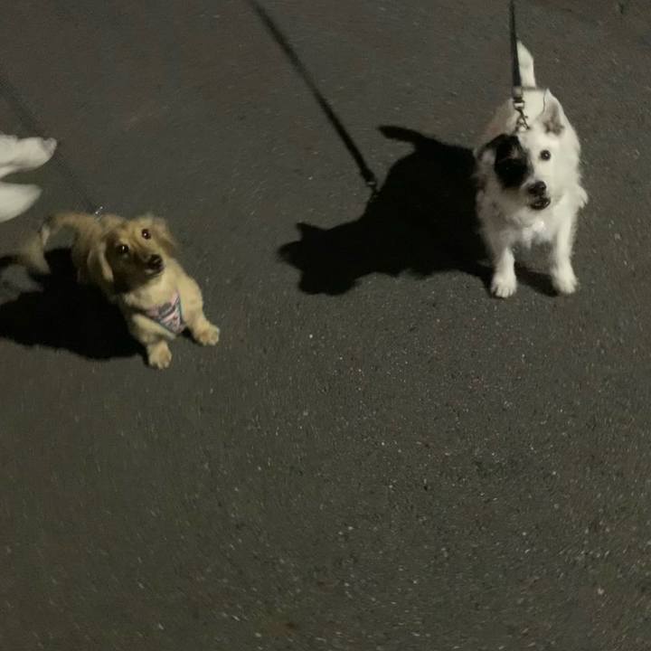 F8666be7 90fc 467b ab2e 1270ad485b80 1720356313415