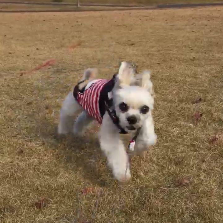 F8667e3c 32f3 432b b59e 0f885bec2fc5 1544013046004