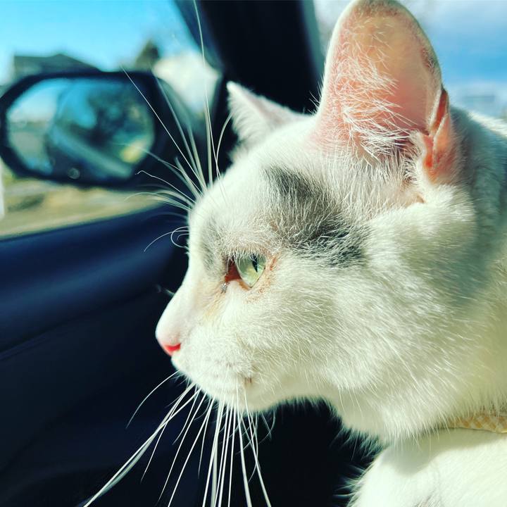 F8668d07 2bb4 4ab2 aeeb 7a605967c05b 1641091387802