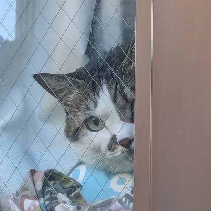 F866a3b0 abb9 4ce7 af2b 1a680fdd99a7 1732746172293