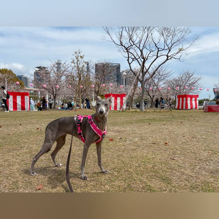 F866a616 5cc6 44e8 81bb 78412ecb4093 1775376820838