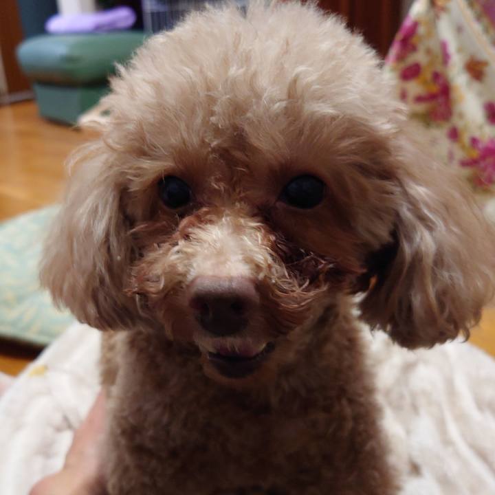 F866ad1f e8c7 495b 839d 3d1f5f394c34 1738397054740