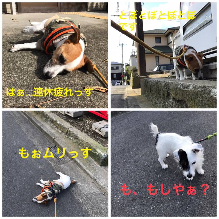 F866f158 83ee 43bc b0c7 5dcce0ddd2a4 1539045626547