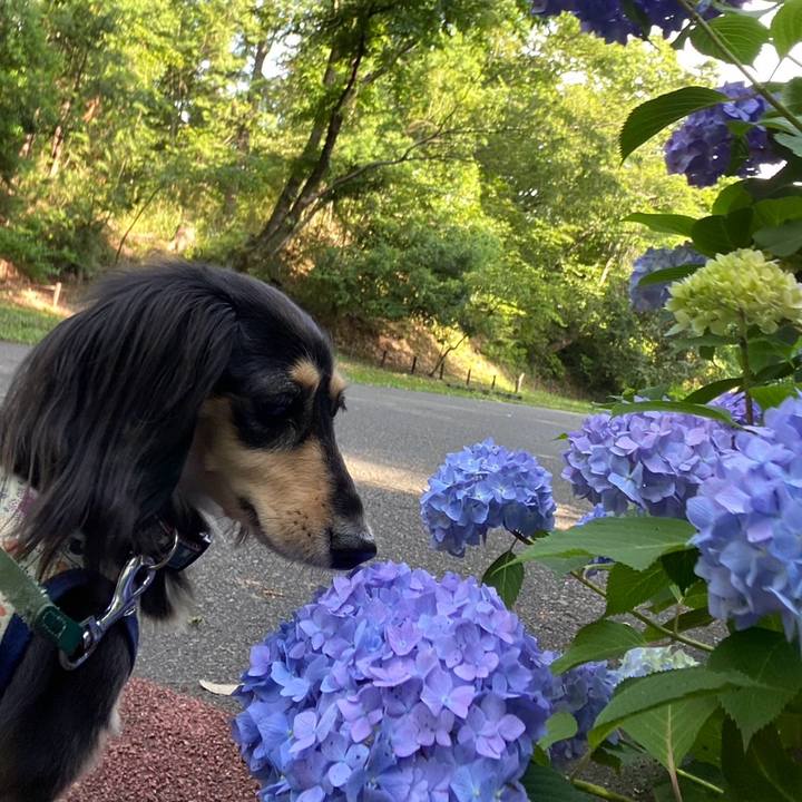 F8670cfa 8522 468c bfef 9631190d7fb8 1749167204548