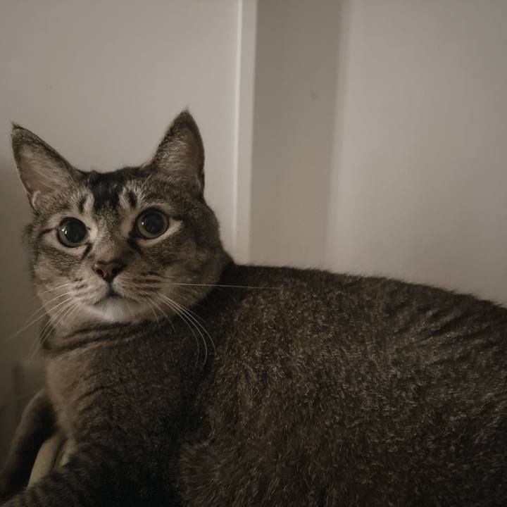 F8671faa 655e 4817 a702 ec02f346c183 1754621339720