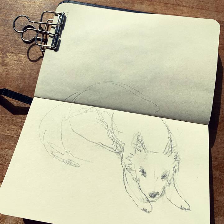 F8672078 a049 4403 b1e2 0118270a89d3 1645235723637