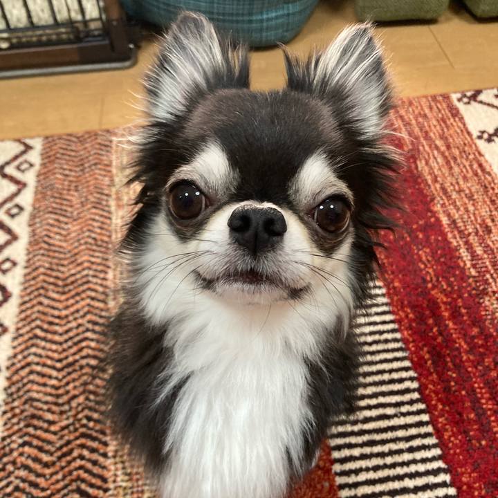 F86762aa 021c 4103 9f97 316dae5a9635 1678547966604