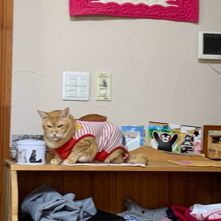 F8677903 6304 4fae 873e dcefaf773590 1580600467957