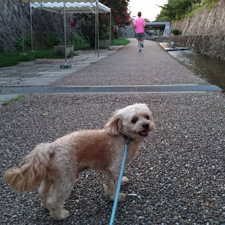 F867980a 6982 4a62 b8a6 fce02aeef6da 1533120545626