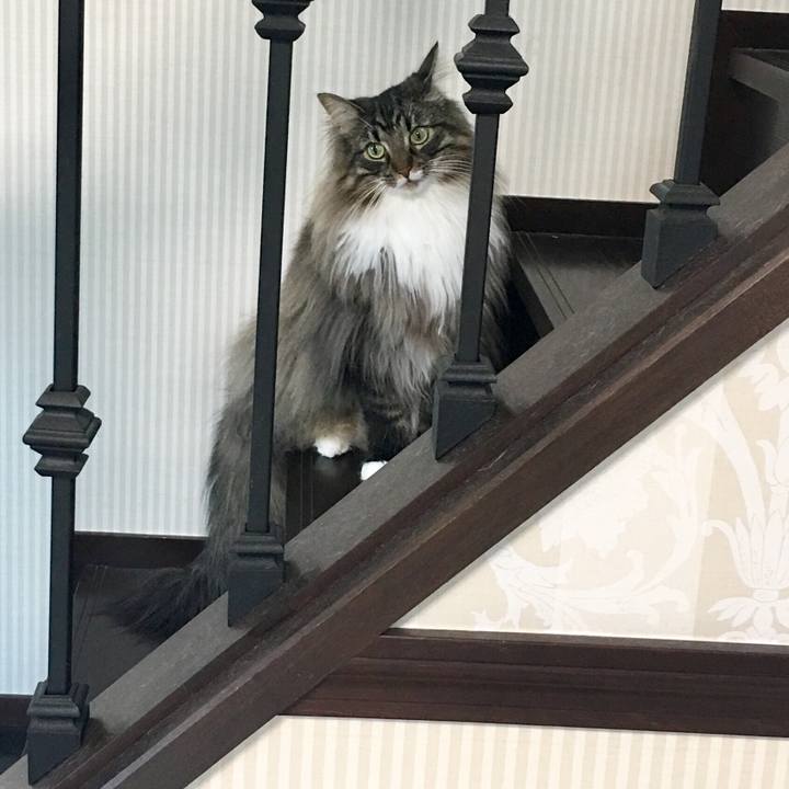 F8679e0b ba66 4a8f b3b2 a88c27beeeb5 1512049695359