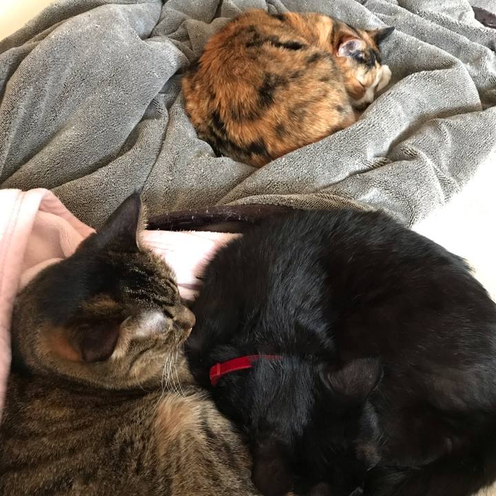 F867c57b b325 4de6 98eb 3c780957769c 1572075419671