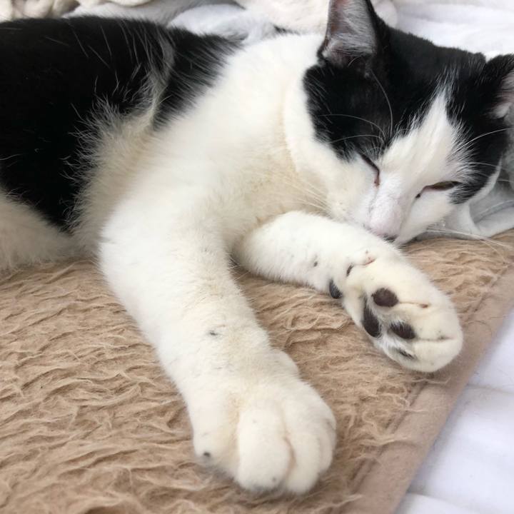 F867fe63 8c68 44f0 a54d 90ea75fdc816 1553049772706