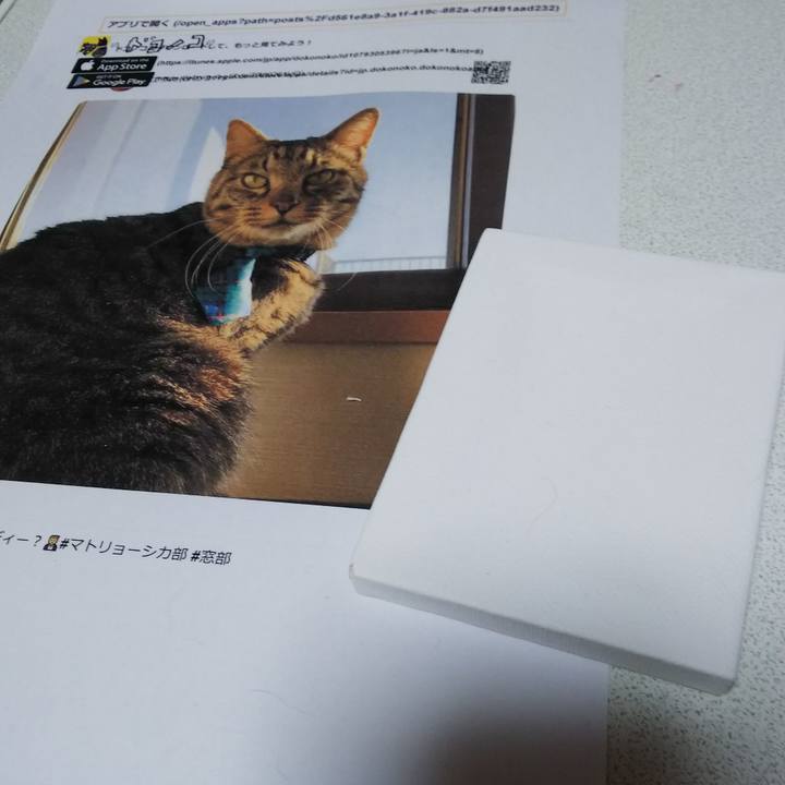 F8680926 a308 4f0a be4f ec8bf1428a5b 1557057858440