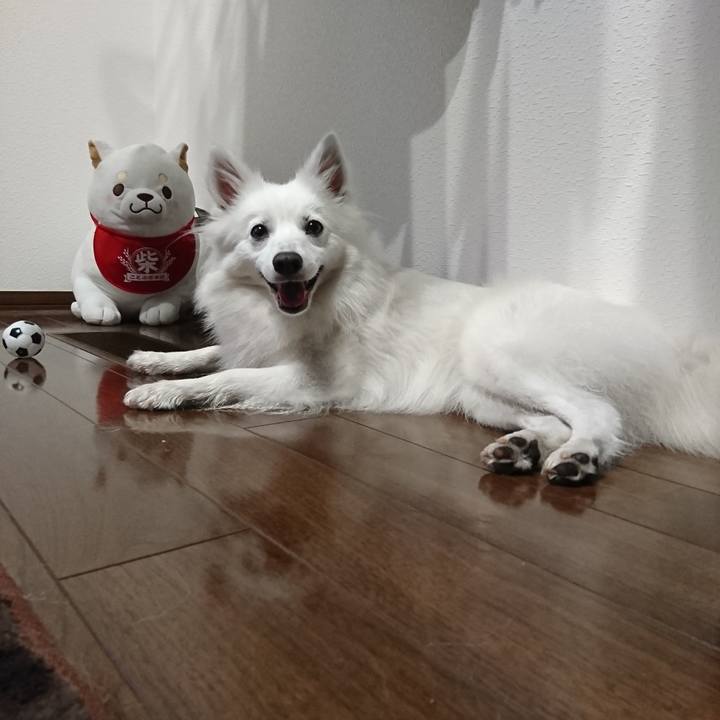 F8683d4e 2b5b 46ba b40a 538afbd1a3c5 1526553988421