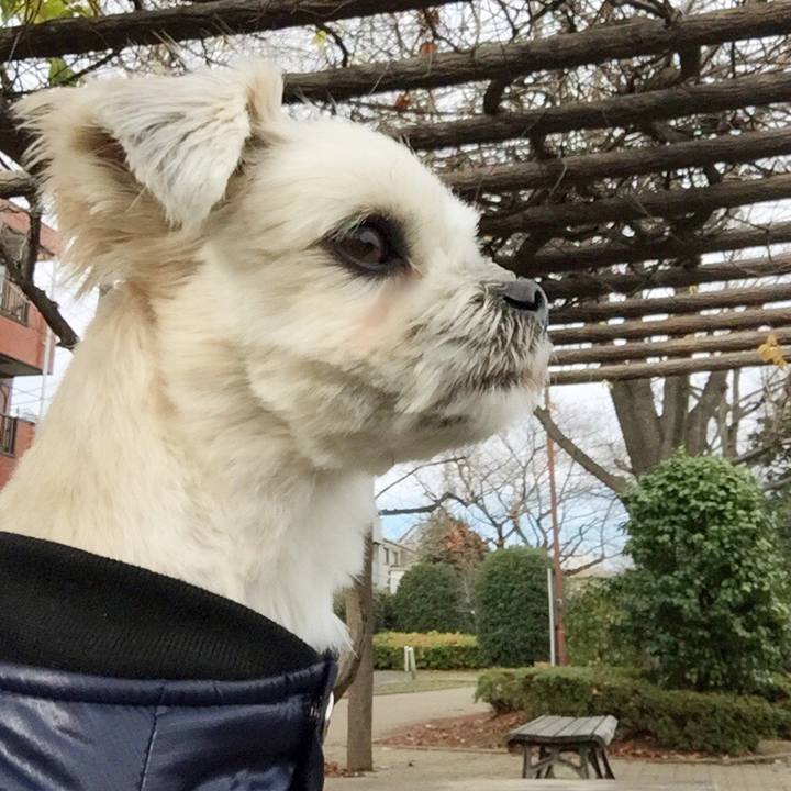 F8686588 4e41 4b18 9c11 0178520cbd47 1544330116271