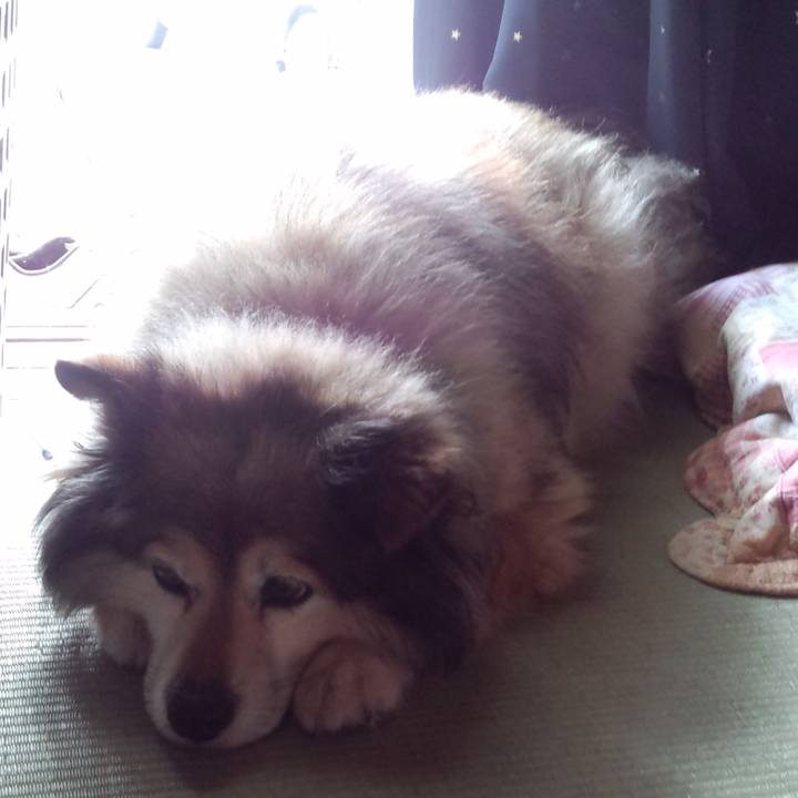 F86883e0 24b9 4cf9 a3bd f253abc5738d 1613179672049