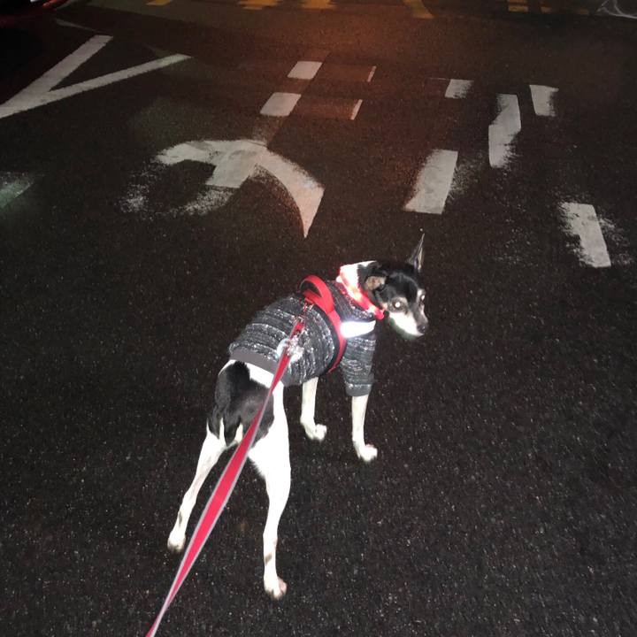 F8688b47 2929 4aa9 8381 12311539c880 1548672490924