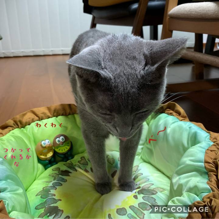 F868d0e6 4e50 41ad b55f 7fa12d730cf5 1600684929993