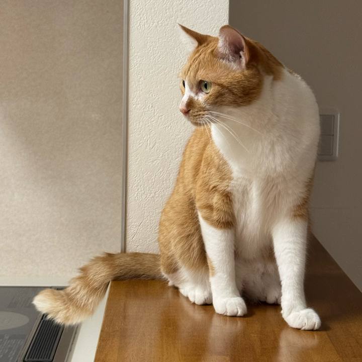 F8691b73 e79c 47f7 832b 9f09a35cef13 1758333146028