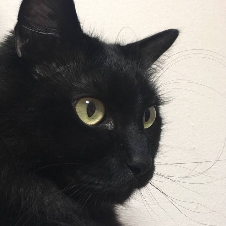 F8693fc9 58d8 4db0 95a9 de8700edf713 1529207814685