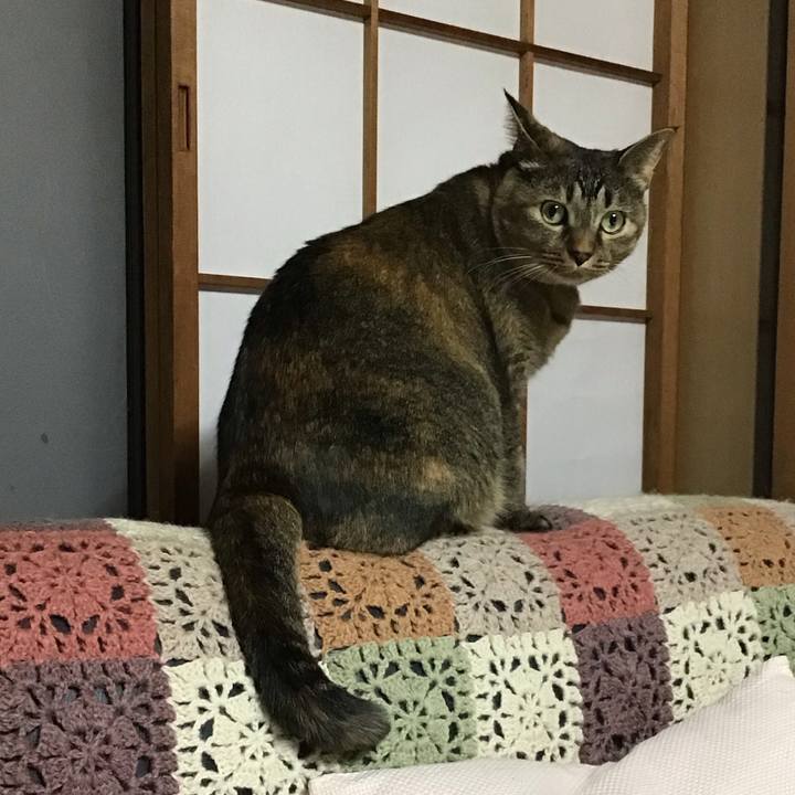 F8694856 5c86 4af4 96dd 63c289adc93f 1730800814640