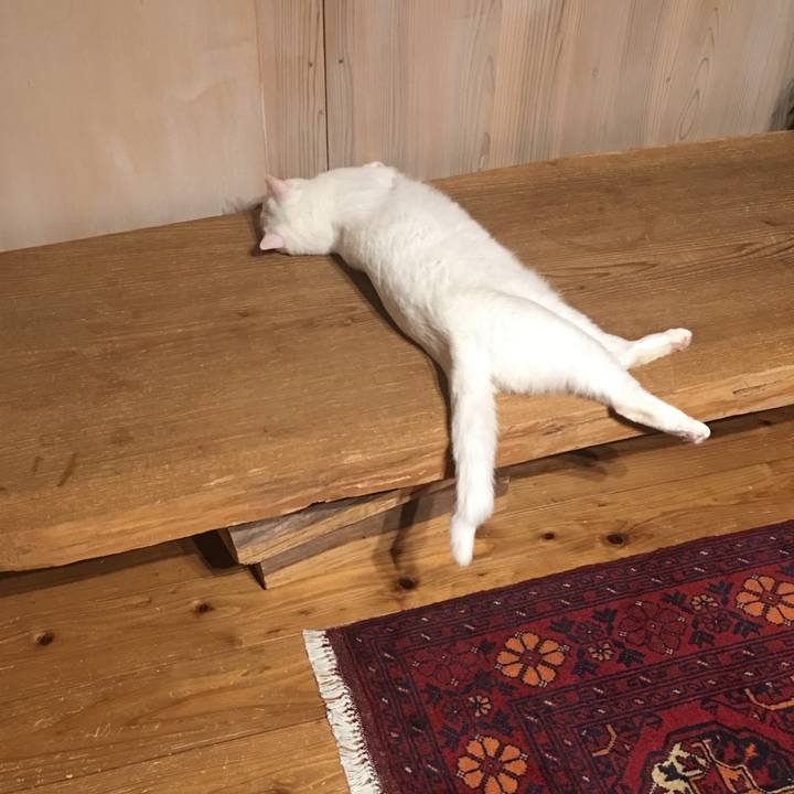 F8696464 93d6 493a bc44 313aba47aed2 1557658511551