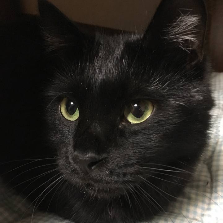 F8696e36 80ae 4b78 a9e9 ab64e87edfbd 1542111263571