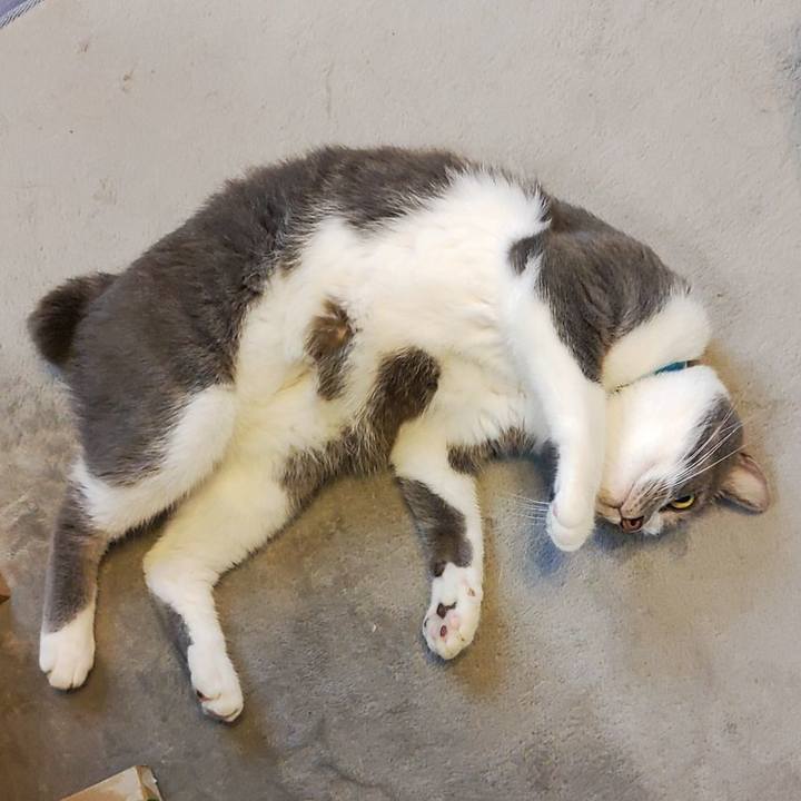 F869a2ab 1824 40e7 892e 5e2e6523bce9 1658798610323