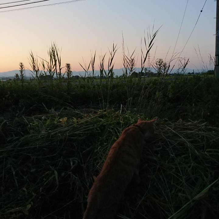 F869bcbd f43c 4927 8f7b 01acb4e76aa0 1566122054552