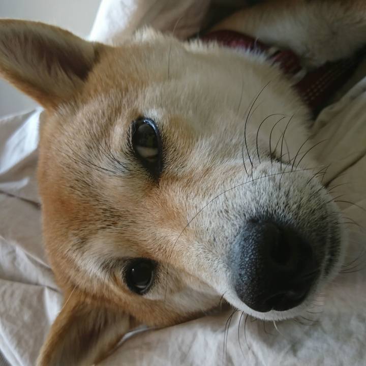 F869c4ec 02fe 43b4 b99b 2503fca48152 1519432443622