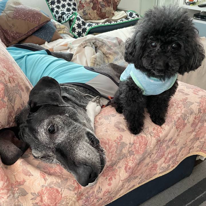 F86a012a 21e4 4b28 856f 93a5d8aadabc 1650839022407