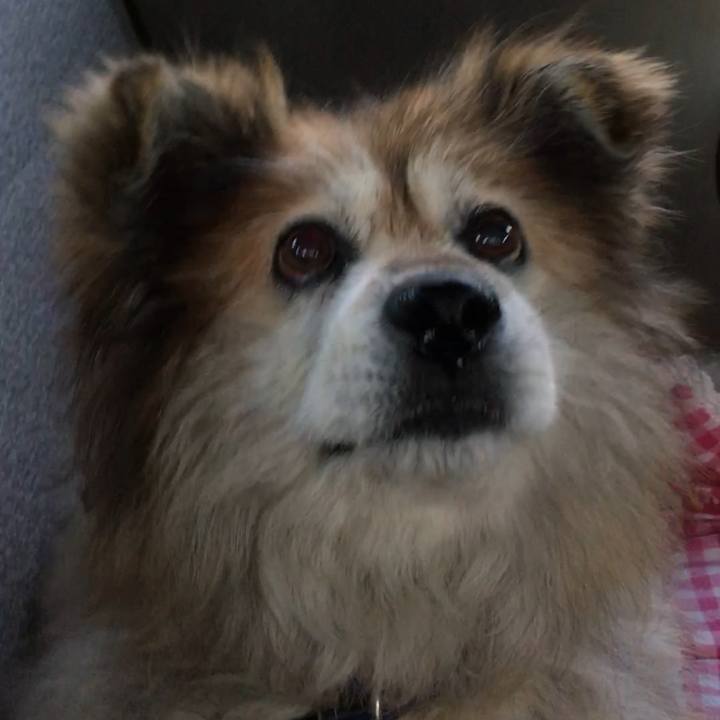 F86aac64 9fd7 4631 acbb ee7ba45b22e7 1646800335925