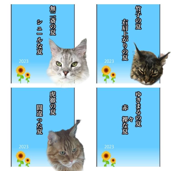 F86af859 9135 479d aa5b b0f4fc1f40cd 1690013550964