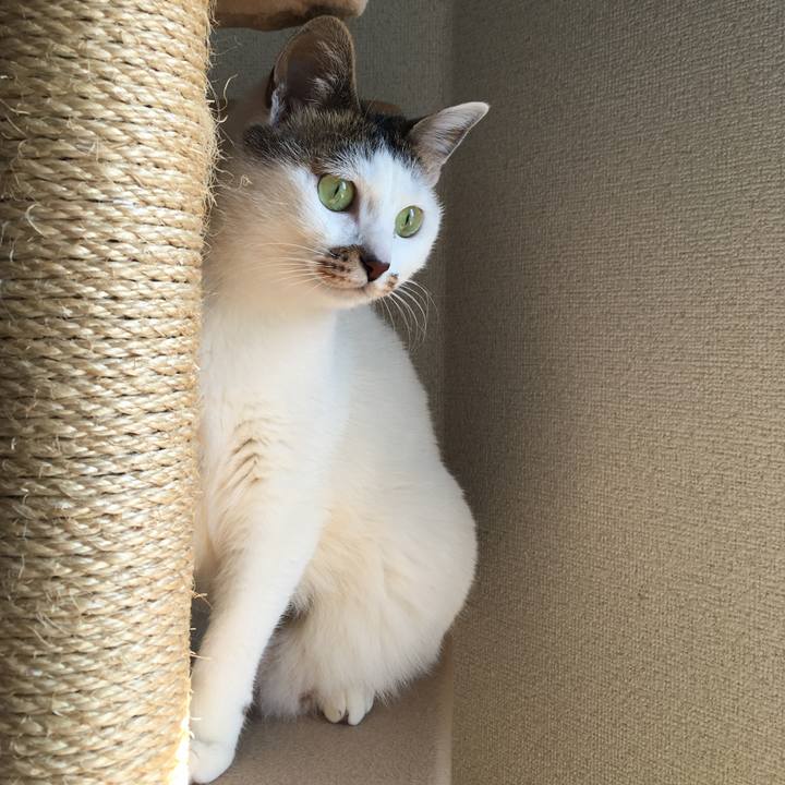 F86b4254 ed5b 4155 b460 eca587d1a7b7 1552616798796