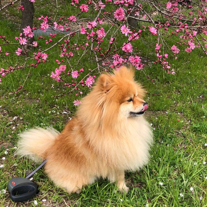 F86b5719 7409 471a 882a 36a1232ee269 1585374803870