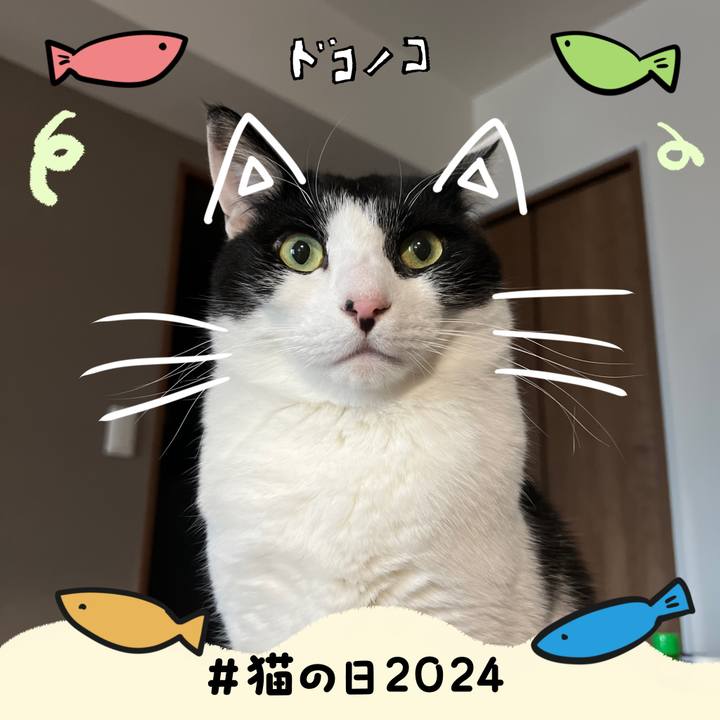 F86b571e 2098 4c97 ac38 9380bd694aa3 1708568456970