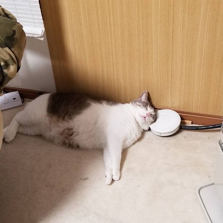 F86ba7d5 d42e 49b3 91ab 9febb212fba4 1611413607497