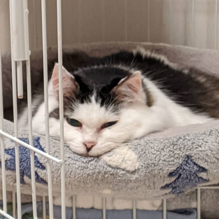 F86bbf85 e12c 4588 b531 229439e82a12 1588163062581