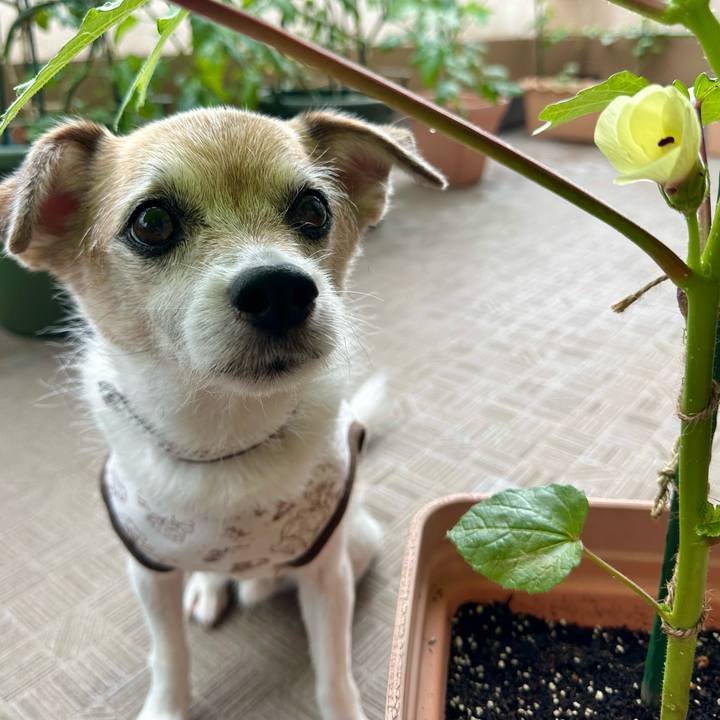 F86bc4bd 33c2 4d58 9791 5638046e39a6 1686626164355