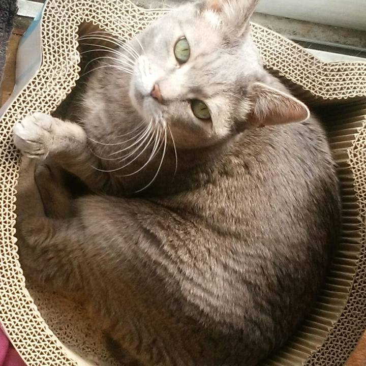 F86bcade e1a1 4f95 a0f7 23370a3cb30b 1549767232629