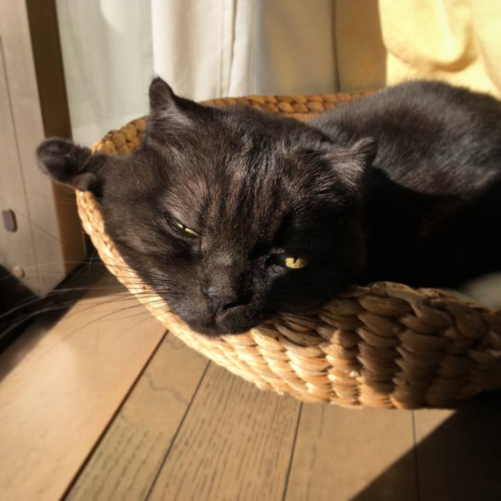 F86bcb4e e169 42f1 ad0d 60ce0844f325 1517056553101