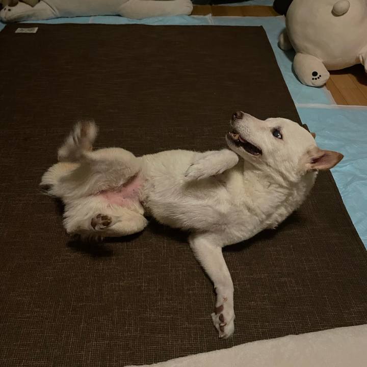 F86bdf28 51dd 4ffe 9b0a 4a2c5b723e70 1665937887541