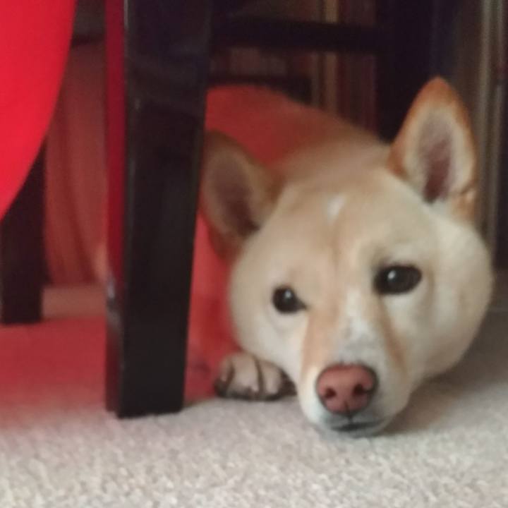 F86c352a 09e7 49f4 baee a5d7ea5a7825 1559776389264