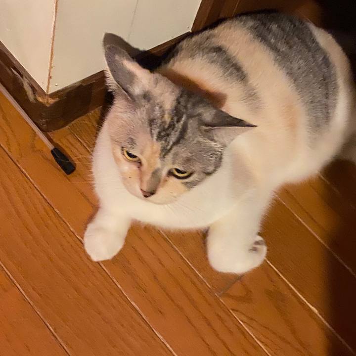 F86c64ce 259a 4561 b492 d006c187ed46 1597240844050