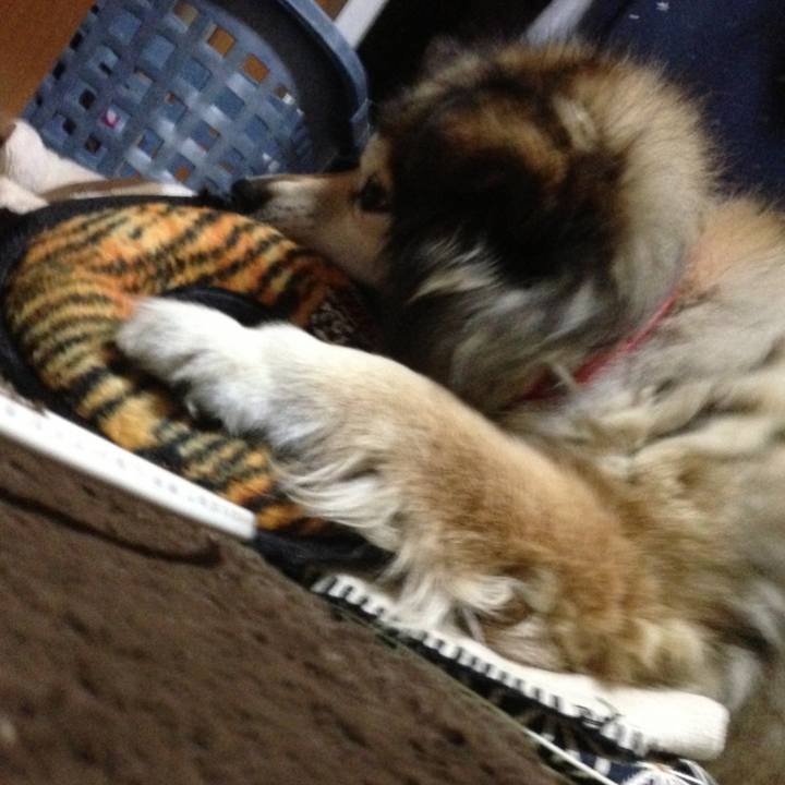 F86c8d76 a964 44fc 9937 e04bec177b9b 1610886791146